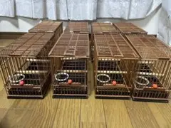 Item thumbnail for item cb49659b-5bf2-44db-90c5-7f03ed5e1ccd