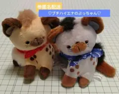 肉食獣のぬいぐるみ♡ブチハイエナ♡2点セット　※ボールチェーン・ブックなし※