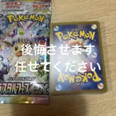 カード11枚とテラスタルパック EX