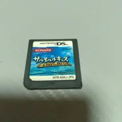 DS サバイバルキッズ Lost in Blue (ニンテンドーDS)