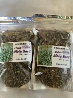 Item thumbnail for item a10cc646-41d0-401d-bf2f-eba379659a6d