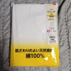 Item thumbnail for item 4a1b62af-d18f-4edf-a241-c98abd888045