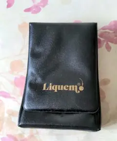 Item thumbnail for item cc2ace23-13fb-4ae9-9373-98c2e669f71d