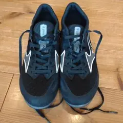 Item thumbnail for item 48d9f502-59c4-411d-a53a-cab0df920e10