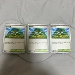 活力の森3枚セット
