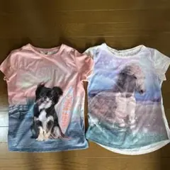 H&M Tシャツ 2枚セット