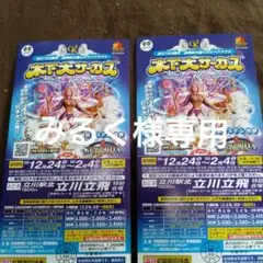 木下大サーカス 招待券 平日限定ペアチケット