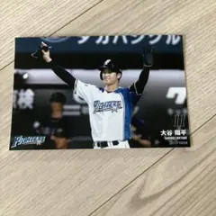 大谷翔平 ハイライトフォト