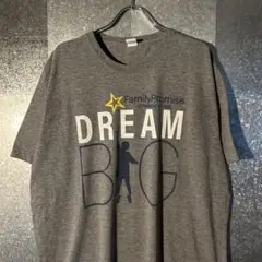 USA古着Tシャツ XLサイズ GOEX オーバーサイズ　グレー