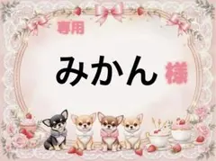専用
