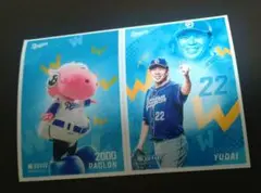 中日ドラゴンズ 竜ブロマイド 大野雄大