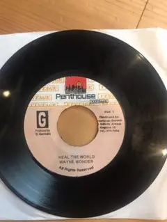 HEAL THE WORLD / WAYNE WONDER