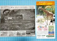 沼津港深海水族館・ディープシーワールド割引、 富士サファリパーク セット