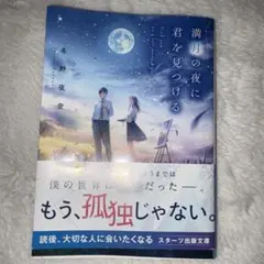 未使用　満月の夜に君を見つける 冬野夜空