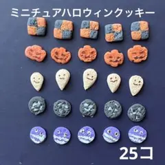 ミニチュアハロウィンクッキー25コセット