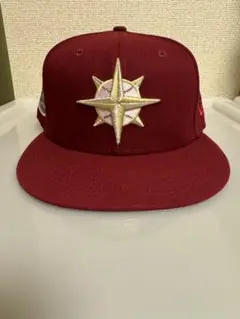 Item thumbnail for item c26af66d-b063-40b3-a8b9-9c095ef77d41