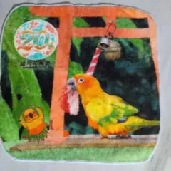 掛川花鳥園20周年 ハンカチ