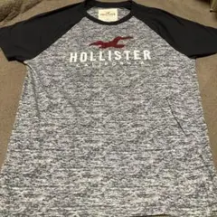 HOLLISTER ホリスター Tシャツ