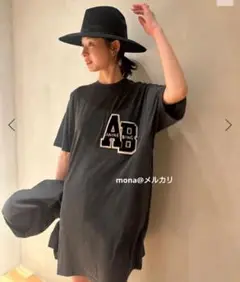 一点のみ！【新品】タグ付　アニービン　ANINE BING Tシャツ　S グレー