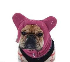 Item thumbnail for item 1cda64a5-bcec-4871-9840-2f7a24559c21