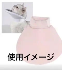 Item thumbnail for item 2286b906-1134-4547-8517-b084bd9b8ecc