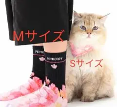 Item thumbnail for item 2119ca64-9a8d-4007-8fd8-2e46d83fb49e