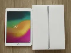iPad (第6世代）32G Wi-Fi + Cellula、箱、おまけカバー付