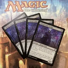 MTG 影の帯の盲信者 英語版4枚セット