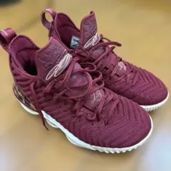 レブロン16