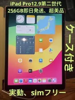 超美品　iPad Pro 12.9インチ　256GB simフリー