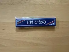 Item thumbnail for item c3204ac6-b3ac-431b-8cfd-95e2bd3b291a