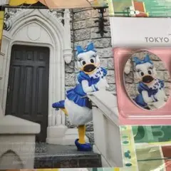 イマジニングザマジック 第2弾 マグネット 写真 デイジー セット