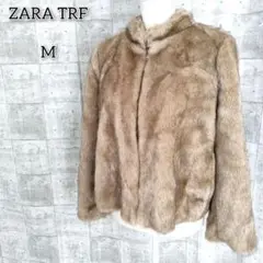 Item thumbnail for item 8dc14986-813f-4feb-852f-ee7c097bcd51