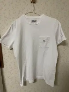 忖度　sontaku 白t Sサイズ　柴犬