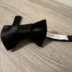 Item thumbnail for item 60d70822-dbfa-4d46-8de8-15b5722b63e2