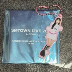 SMTOWN LIVE 2025 ランダムミニアクリルキーホルダー B スルギ