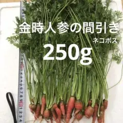 金時人参の間引き