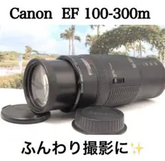 Item thumbnail for item e3185a94-4be6-43a5-8600-f603eadfd853