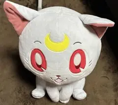 Item thumbnail for item e1db3a5d-a405-4ca0-9f4f-34f352f1d229