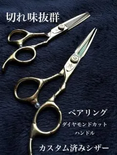 武芸シザー　5.8インチ　美容師　ブラントシザーパワーロックシステム Teiuu2IUaIP8lLRIbSG9M6SmBDQT6V