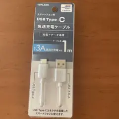 充電ケーブル（おまけのケーブル付き）