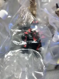 ウルトラマン待ちぼうけ4セット
