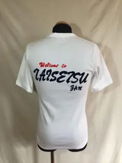 Mizuno Tシャツ M 大雪山 北海道 登山 ハイキングなど 90s 未使用