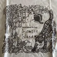 ⭐️新品未使用⭐️西表島アースカラーコットンTシャツ ユニセックスSサイズ