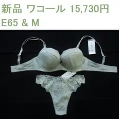 新品1万5千円 ワコール E65ブラ Mソング セット 日本製 インカラット