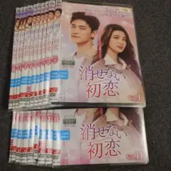 【レンタル落ち】 消せない初恋 DVD 全20巻