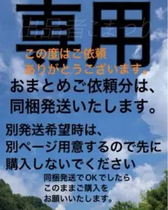 【同梱発送で問題なければ手続きお願いします】 よよ様 リクエスト 2点
