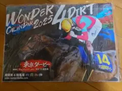 WONDER CALENDAR 2025 4DIRT 壁掛けカレンダー