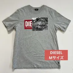DIESEL ディーゼル　グレー　半袖　Tシャツ　メンズ　M