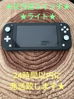 Nintendo Switch Lite グレー　本体　箱無し